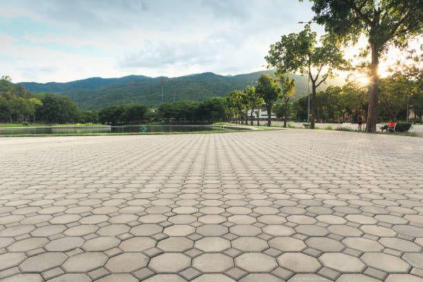 Best Commercial Driveway Pavers  in Sammamish, WA